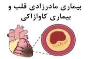 مواجهات محیط زیستی منجر به بیماری ساختاری مادرزادی قلب و بیماری کاوازاکی می شود.